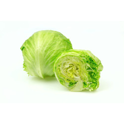 Lettuce, Iceberg p/p